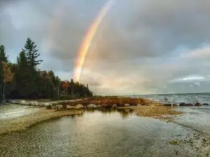 Eagle in the rainbow