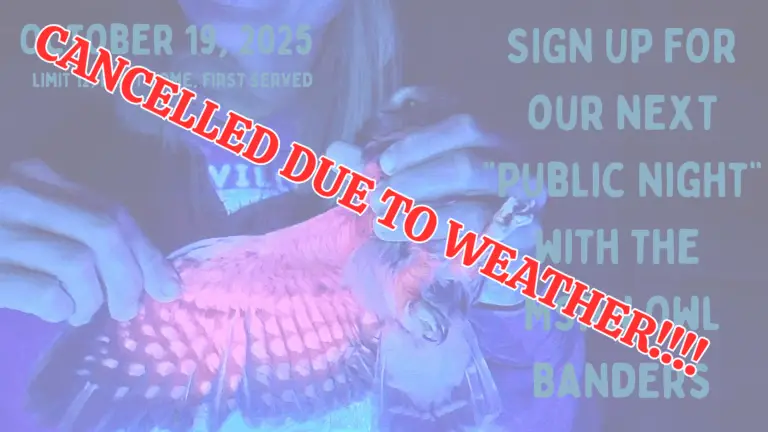 Cancelled!!!