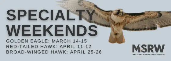 Specialty Weekends Header 2026